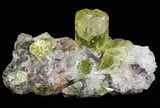 Apatite Crystals with Quartz - Durango, Mexico #64017-1